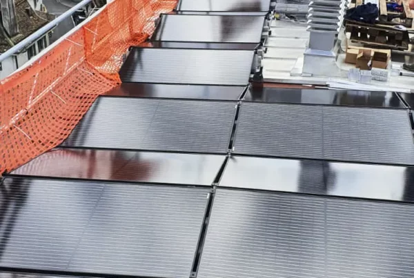 Hôtel des Alpes Nyon Hanhart Electricité